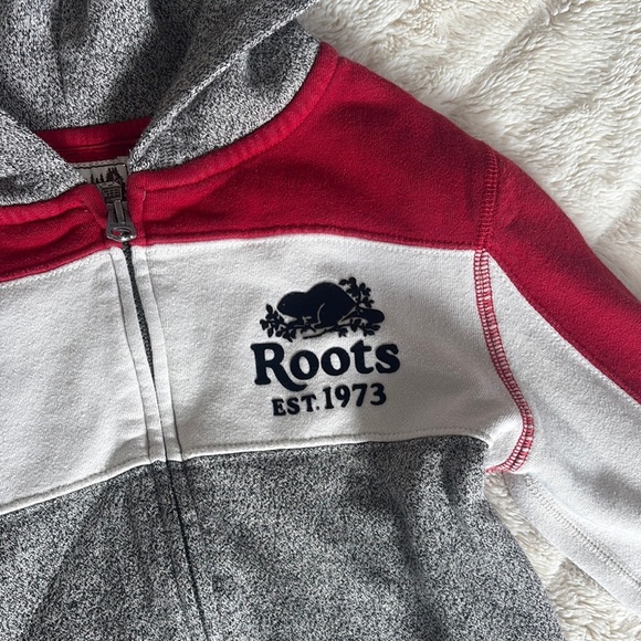 Roots Kids Hoodie - grey, Scarlet, and Ivory - Picture 2 of 8